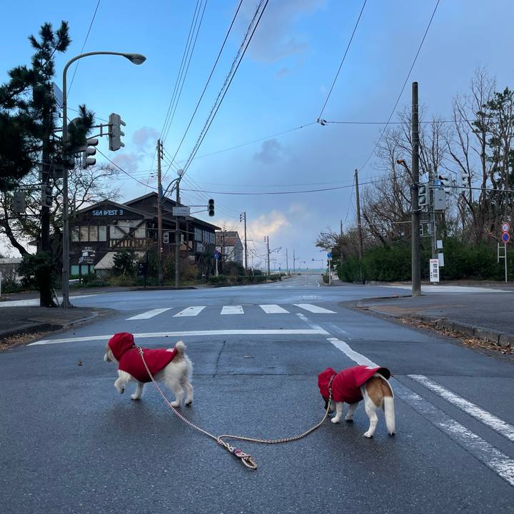 1e30888d 408b 4876 b593 b2dd307bd722 1637985118436