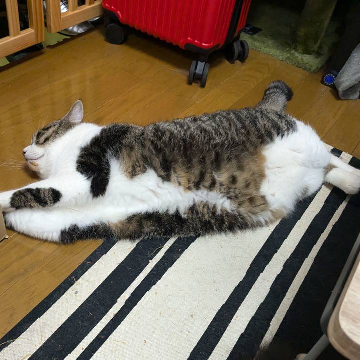 1e309bc1 55bc 4e3e bf2f b04d2123cd46 1723984054167