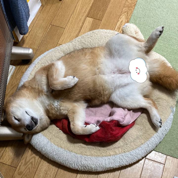 1e30a853 ffdc 469f 9258 d433ef4c7408 1685945995601