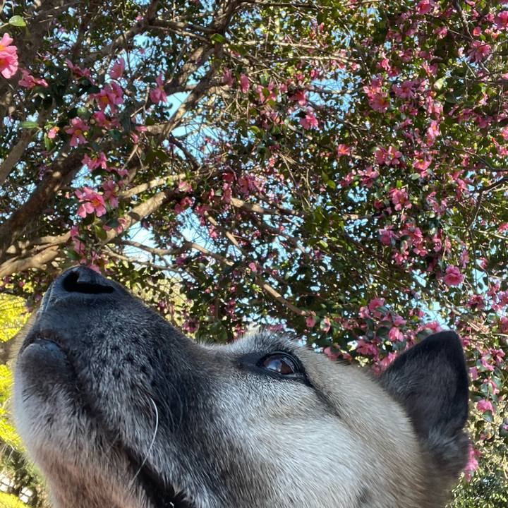 1e30acc9 2bbe 40b4 84ba 0e4dac0e1e35 1705233036090