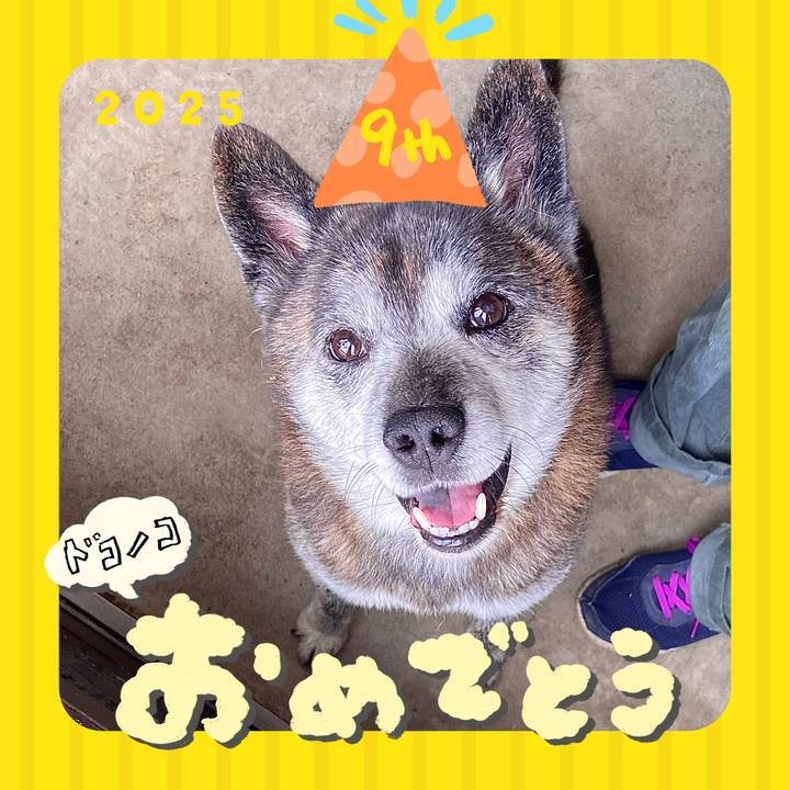 1e30b54b 61d7 4110 aecb ce35f0a69a70 1749254353388