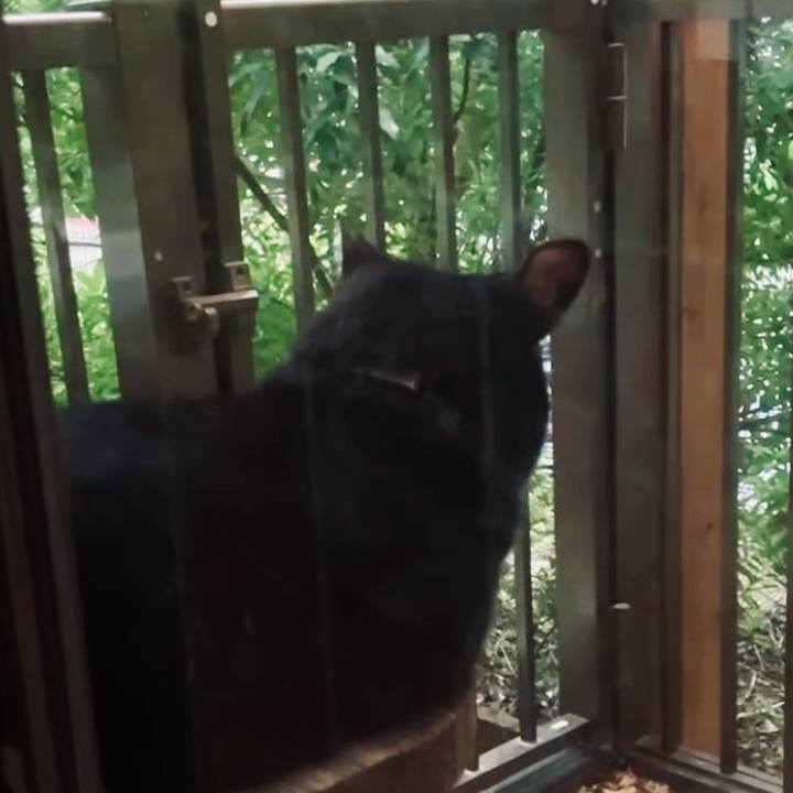 1e30cd80 0835 487b a447 6cec842d89af 1728206942596