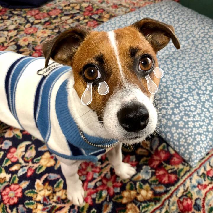 1e30d8d7 6d7a 422e a3ae 36b75798be65 1602481537435