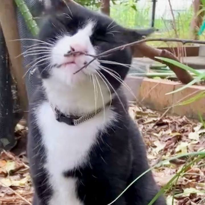 1e30db84 dd06 4241 af41 9c2165651e28 1728458449259