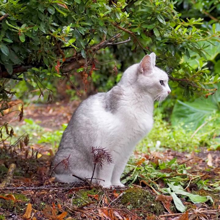 1e30e169 5257 4ac1 af2f 512351621778 1765709825963