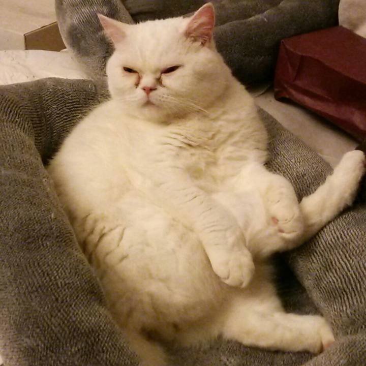 1e30f11c a057 4812 bd50 174bb037349e 1516100762571