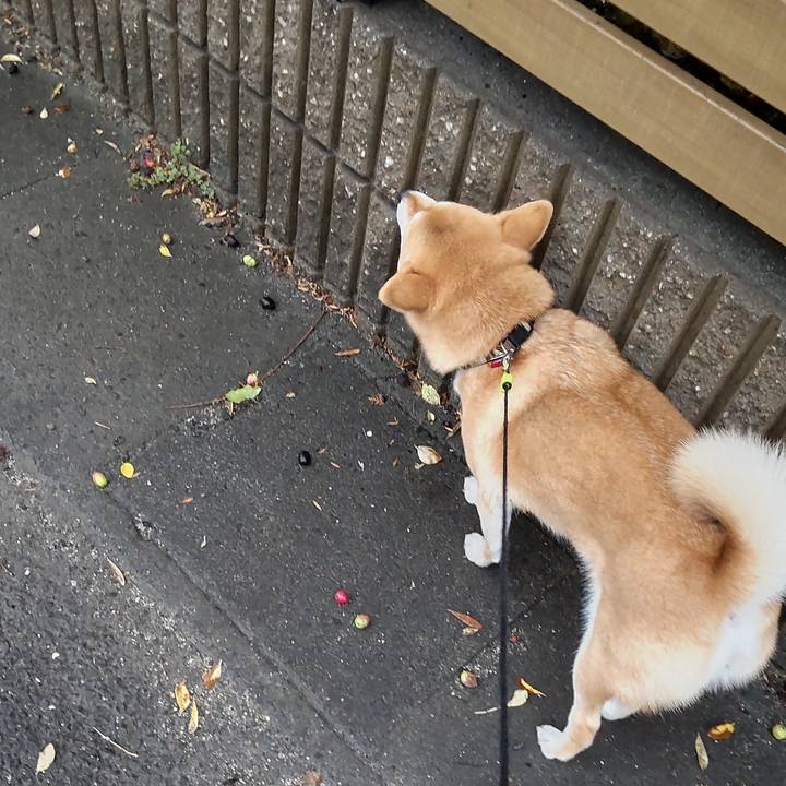 1e30fc78 f29c 4972 8c4e 37d604f719c8 1702339258399