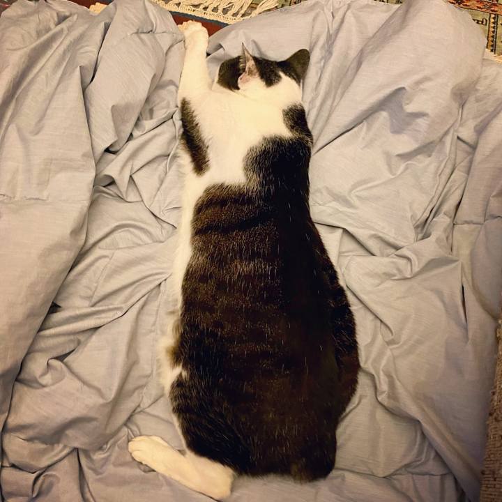 1e311723 4a18 4470 9ea3 0b99d36b0263 1614081984891