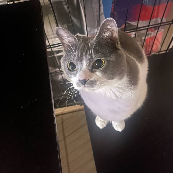 1e318b9e cd89 4676 ae27 a1da9aa3ed0a 1677854751062