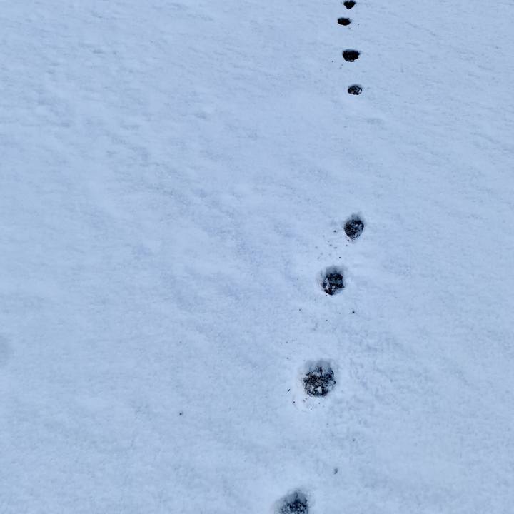 1e31a24a b17c 4560 880f 76695cdb5490 1613599960495