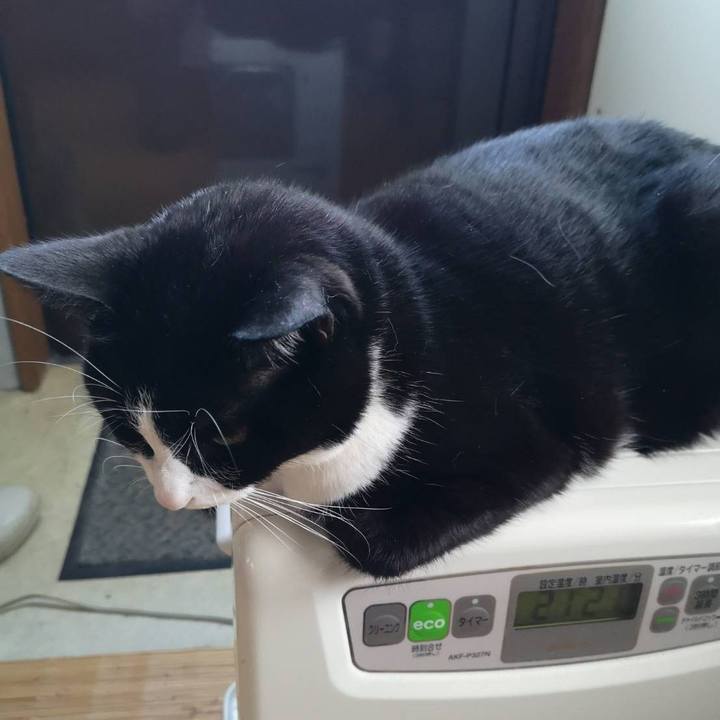 1e31d1d6 a560 40b6 aa49 0b88db898bcf 1635220656332