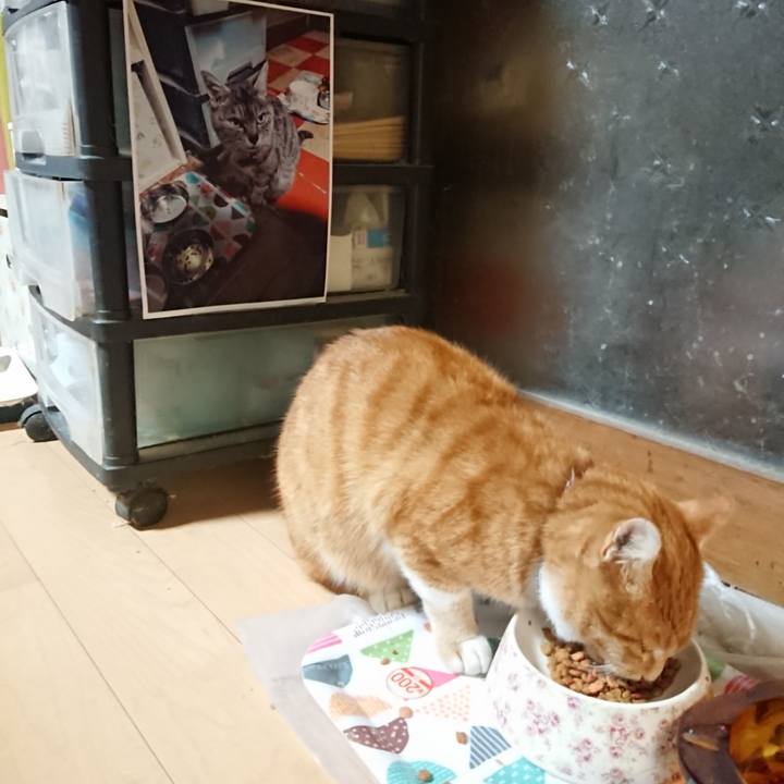 1e31d794 9942 4c83 a497 d0082a5f7112 1603223538943