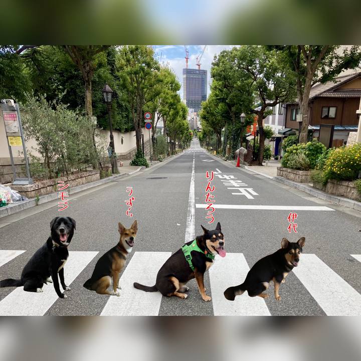 1e321a61 b51d 4044 86a9 6d5e9a9f9561 1597710118636