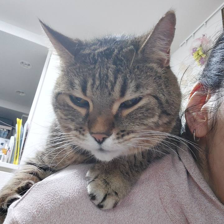 1e322f24 65b9 412c aa92 e88529faf636 1713913413637