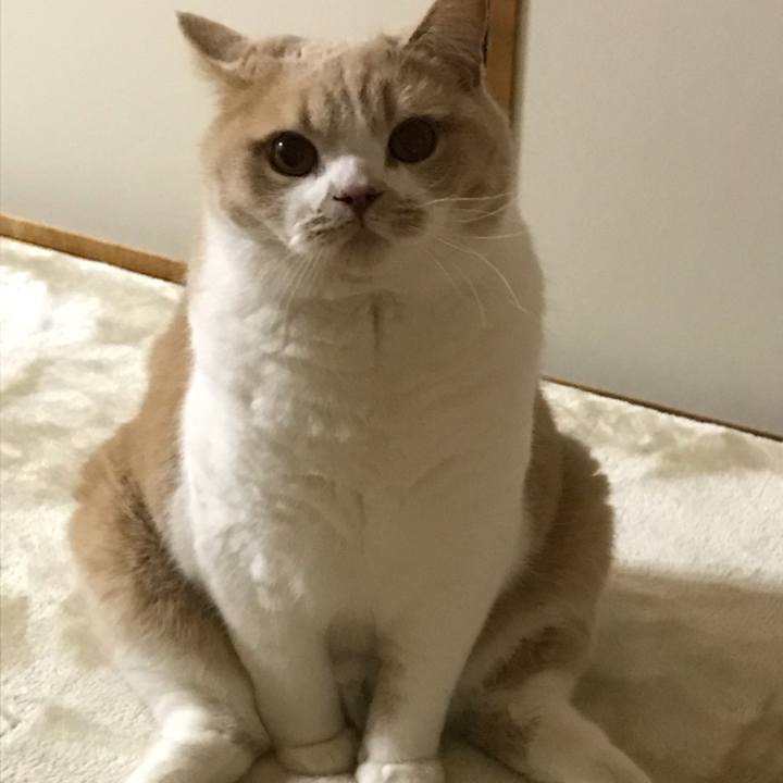 1e323a7e 5999 444d a20b e68a3d84f28d 1519879847384