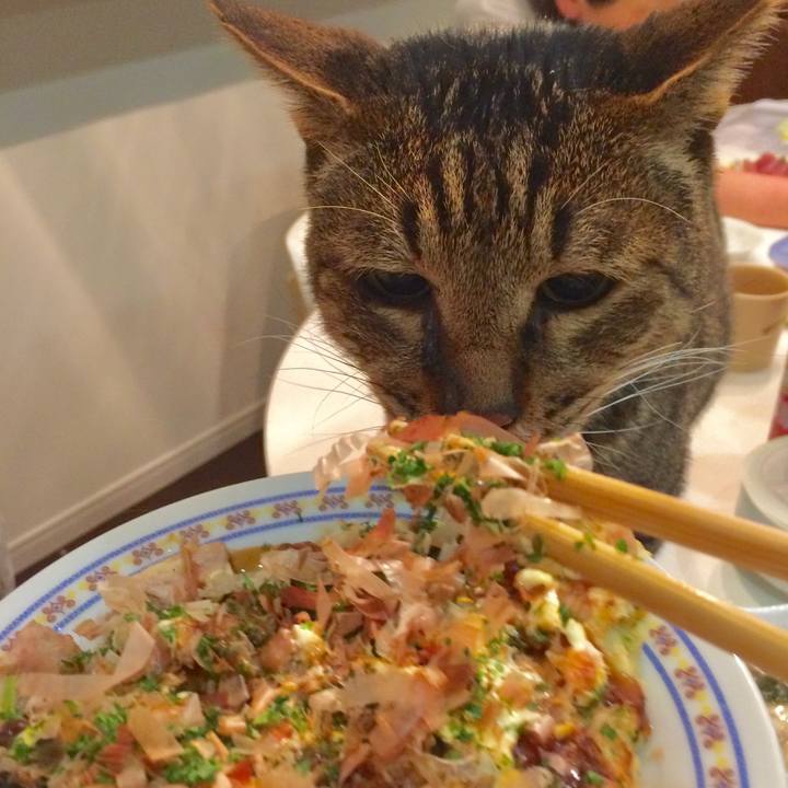 1e323b1f 0407 4999 9cbc c350a86a81f1 1575901847208