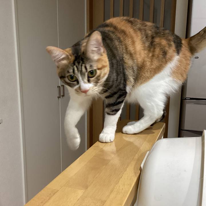 1e324737 109c 450a 9782 76f615fca96f 1675720751076