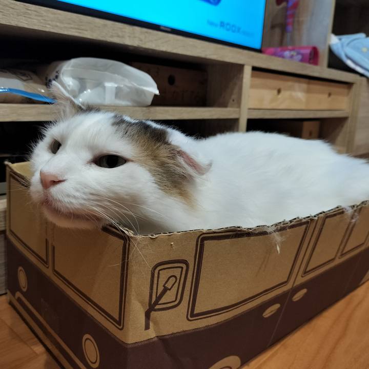 1e32acb4 c1ea 459e b838 0919177c2f28 1771251368976