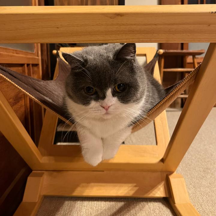 1e32e14b 3f07 4af2 8725 c78b51f60f7a 1663897087247