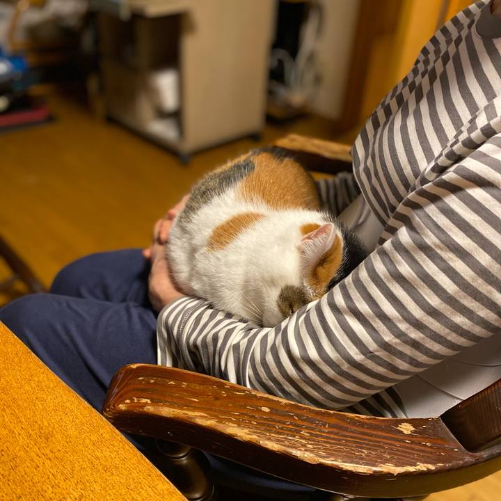 1e32e58b 0f05 4f3d b2b2 2c7c89c28751 1758622527326