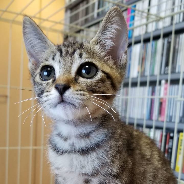 1e330267 7bc5 47a3 94c3 2684108ad0f6 1535405157699