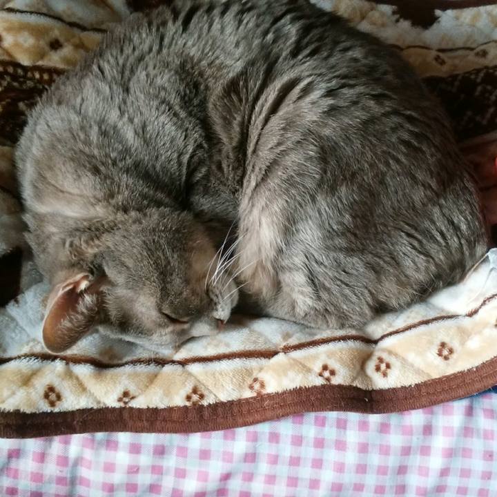 1e337bb2 6109 45f5 b194 aff0a1e6b711 1580944005315