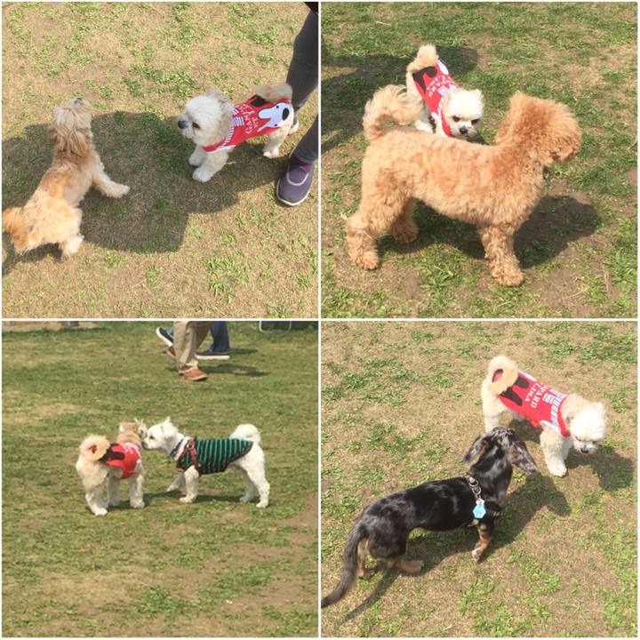 1e338c25 7342 4f98 8db6 484daab118e9 1554624945330