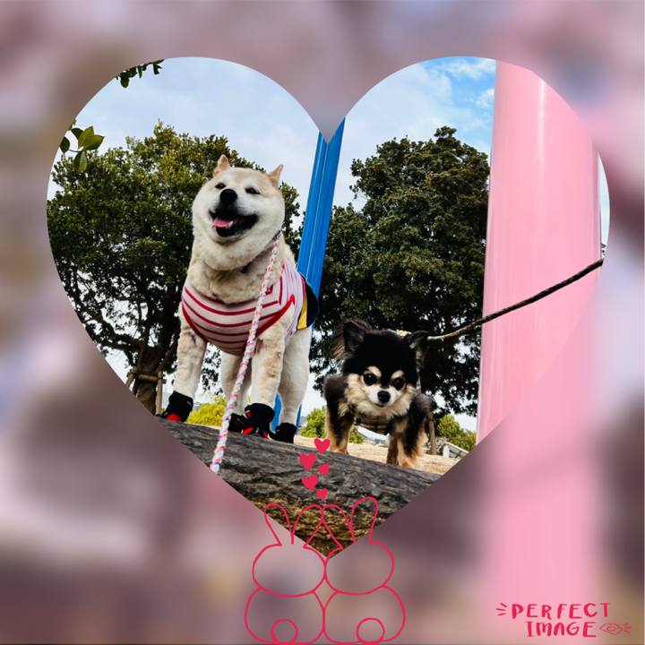 1e3395a9 bbbc 412b b25d e20a60c28972 1747952402567