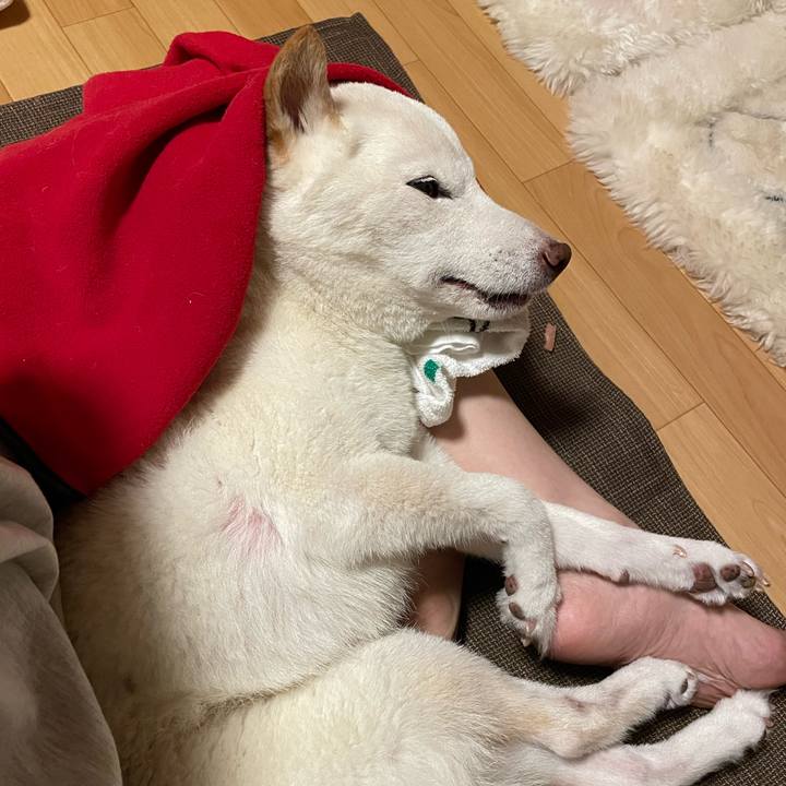 1e33d641 ff27 4fbe b641 67cedb4156f8 1664220468036