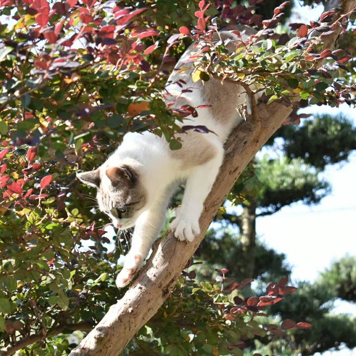 1e33f5d8 6380 4d95 8187 dc8e45c8ea3e 1509504608162