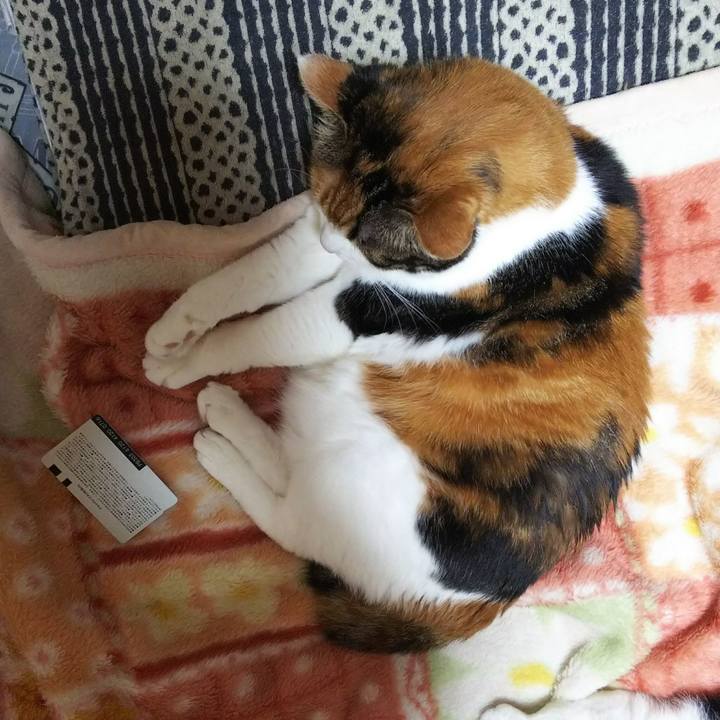 1e3425f8 60ba 457e bc77 8180e7764238 1525617323498