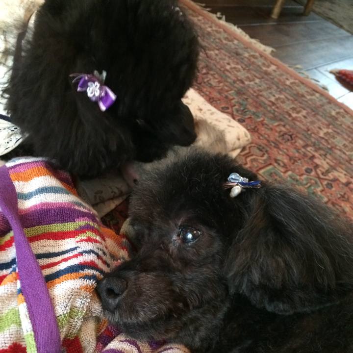 1e34406f 8cc0 4734 abdc 4832d4b13381 1569555628009