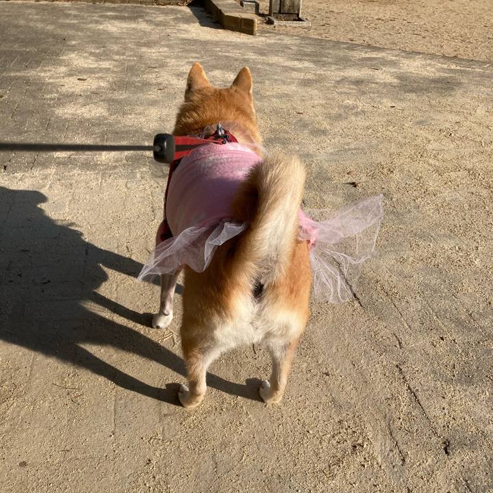 1e3440b8 7bf3 4063 9b66 2eece5ae4118 1639617338216