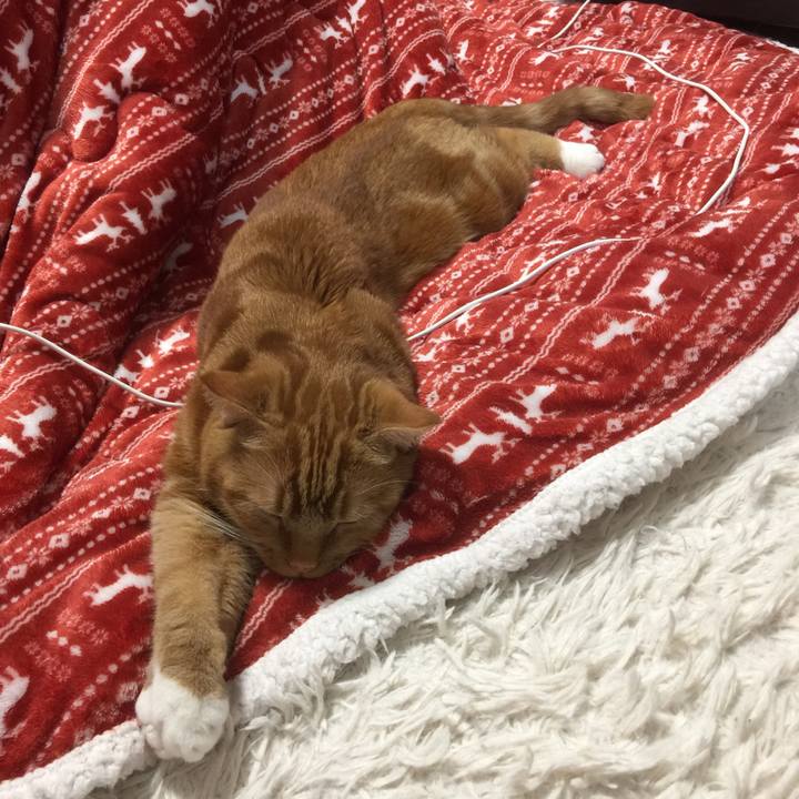 1e348ce9 3ef3 45bf b682 72485fb8cad0 1581209361036