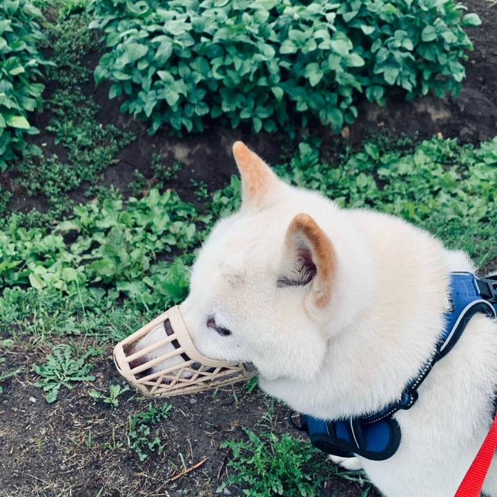 1e34e691 9261 4c6e a13e 66ca41a88255 1629059716890