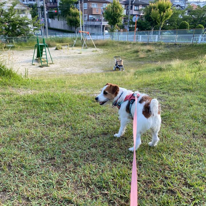 1e34e891 a706 4ff1 be7f 16ab93b5b2a6 1717712999929