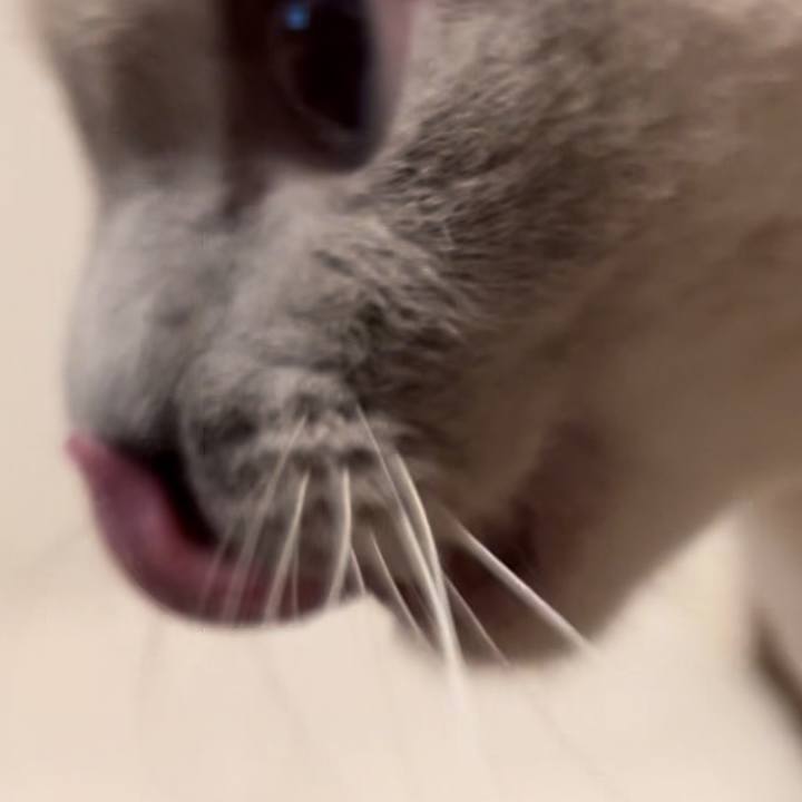 1e34efe1 997f 4d28 8ee4 783229fd4925 1741392400866