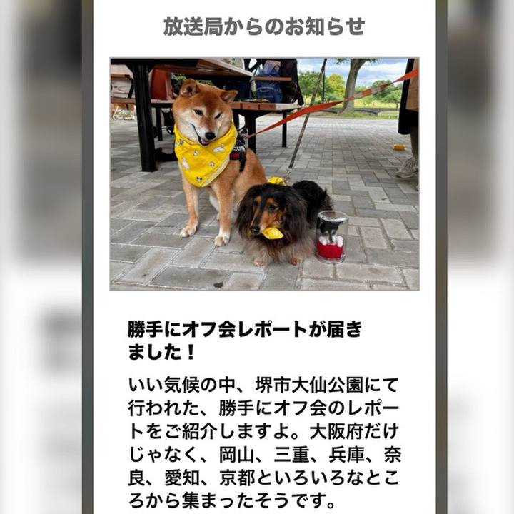 1e350e69 9bb4 4eef 974c 11a755cc8301 1715831115004