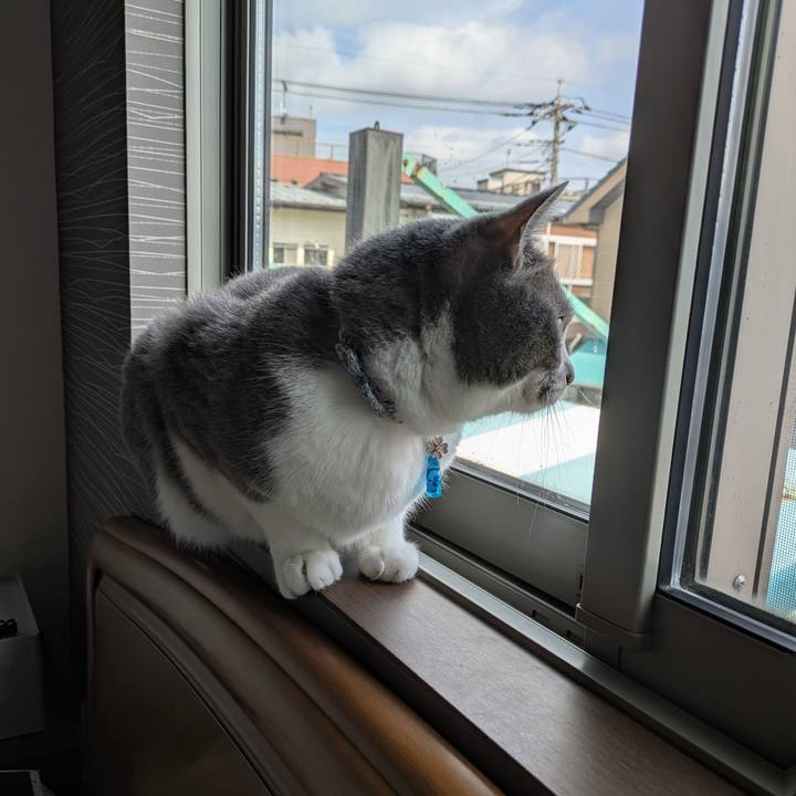 1e354951 5a9b 4e51 a112 743ac62c7d82 1750466952758