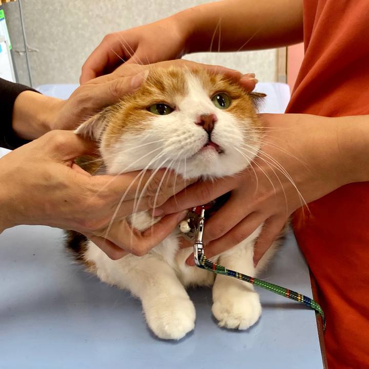 1e359840 6d20 48d2 83d5 47c8d1367bf9 1576246862772