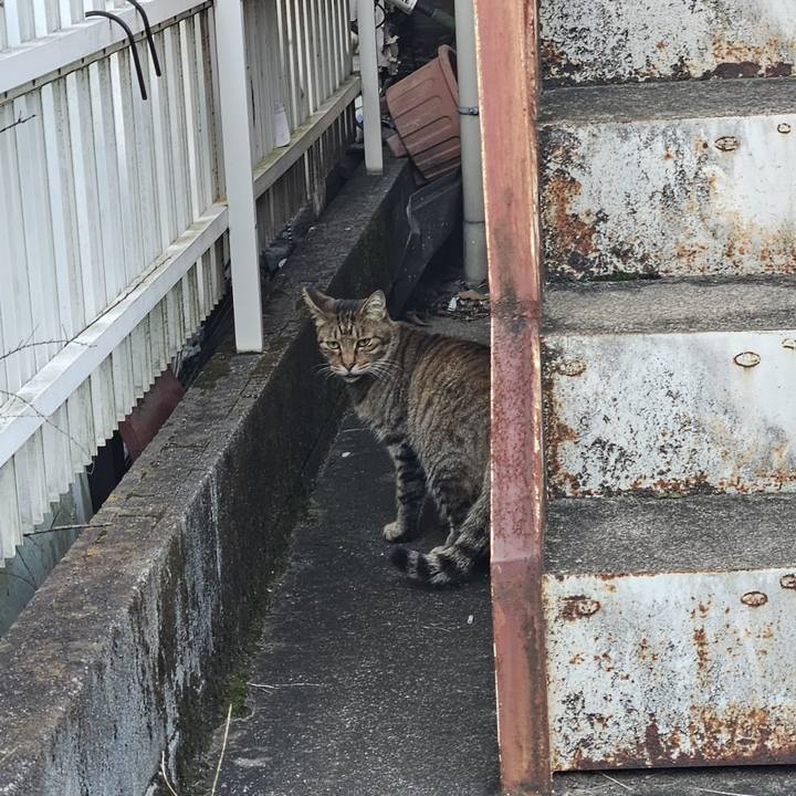 1e35b3b3 2148 41b1 b9bc 2b63bae1837f 1729476924083