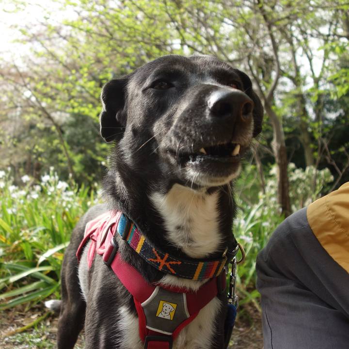 1e35dff3 69bc 4e80 bb5c 890681f9eea0 1586048000933