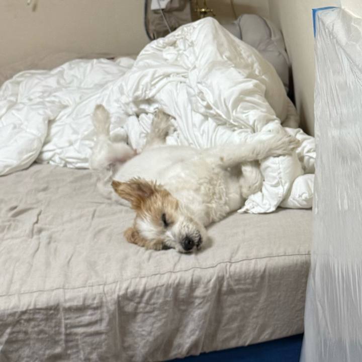 1e3602c1 5af8 4552 bc7a c81e6f2f0a7d 1762499413493