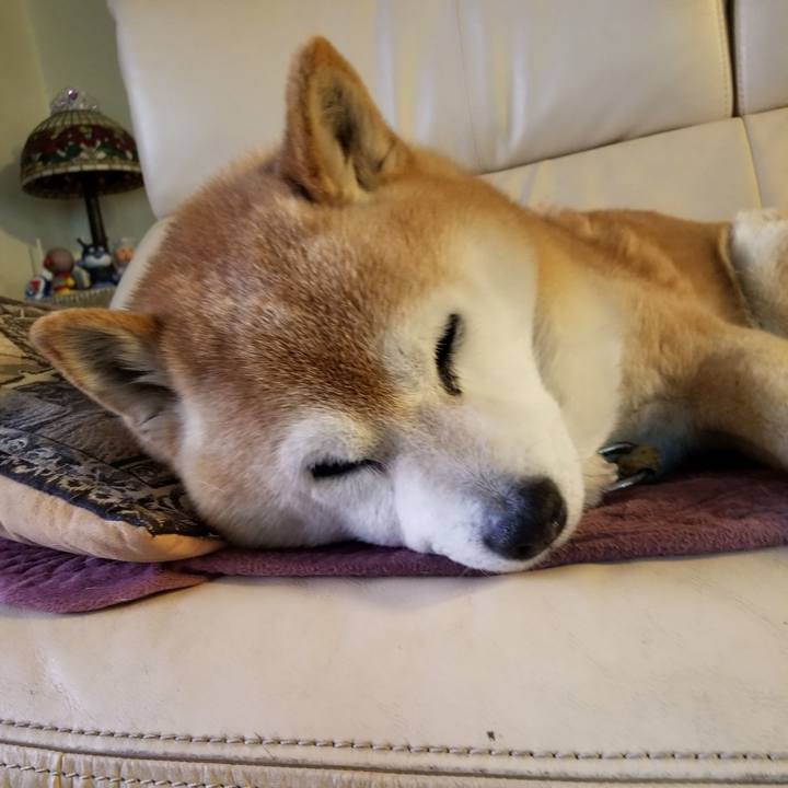 1e361e6a bda8 4c2a 94e0 bf934679b885 1712617576934