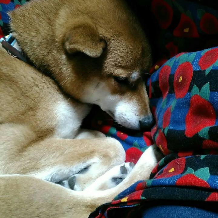 1e3660c9 28a9 49a7 95aa b569d18a99bd 1548161166468