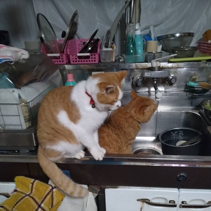 1e366fcb 0130 4079 921e 5091ce42a251 1763969698829