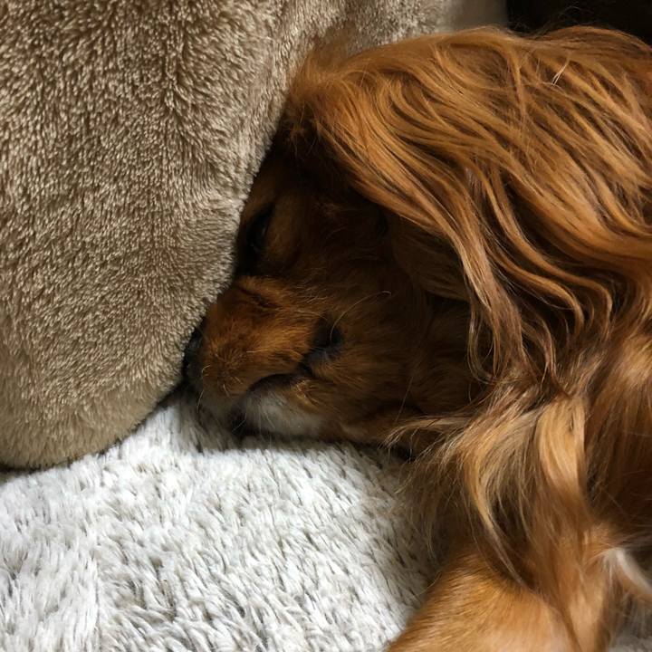 1e368257 5319 4d2f a380 063841ce9b0e 1584619978919