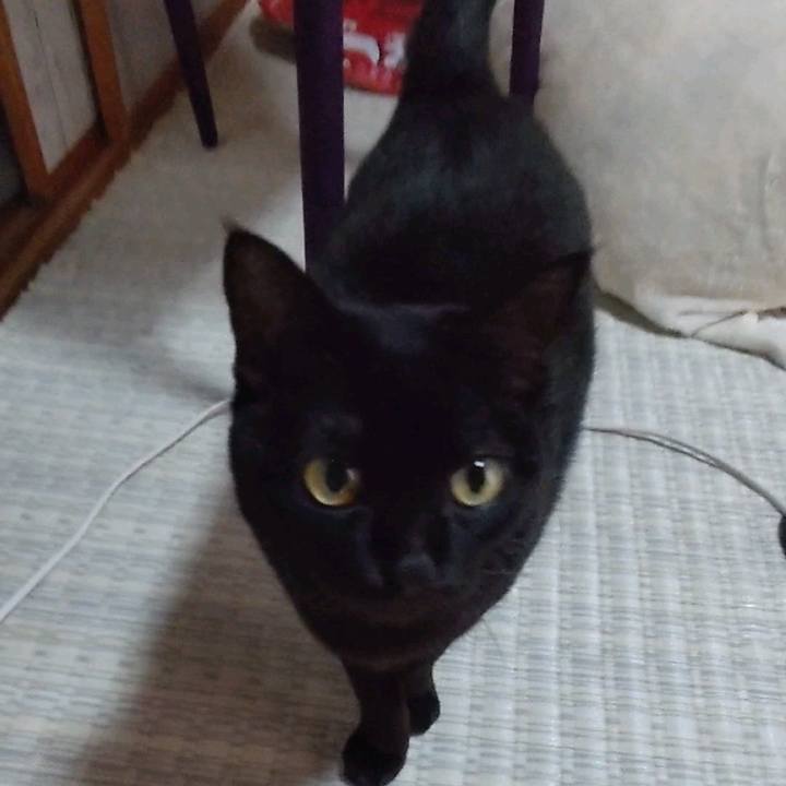 1e36c4c1 764b 464b ada3 e0e67841c70d 1700815693935