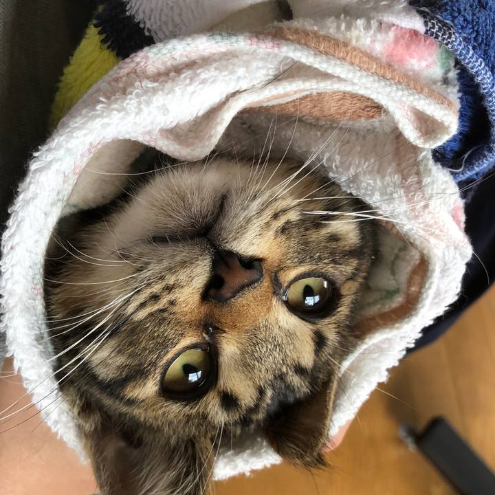 1e36ce10 a322 4087 ae94 2635203d7c9a 1729390602250