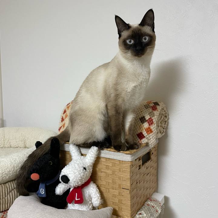 1e36d5b4 1504 430d 80e6 fe12e2e44faa 1709839599997